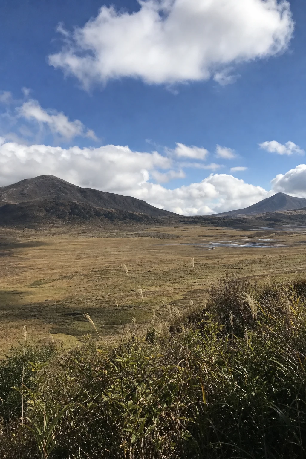 Open grassland and distant volcanic slopes