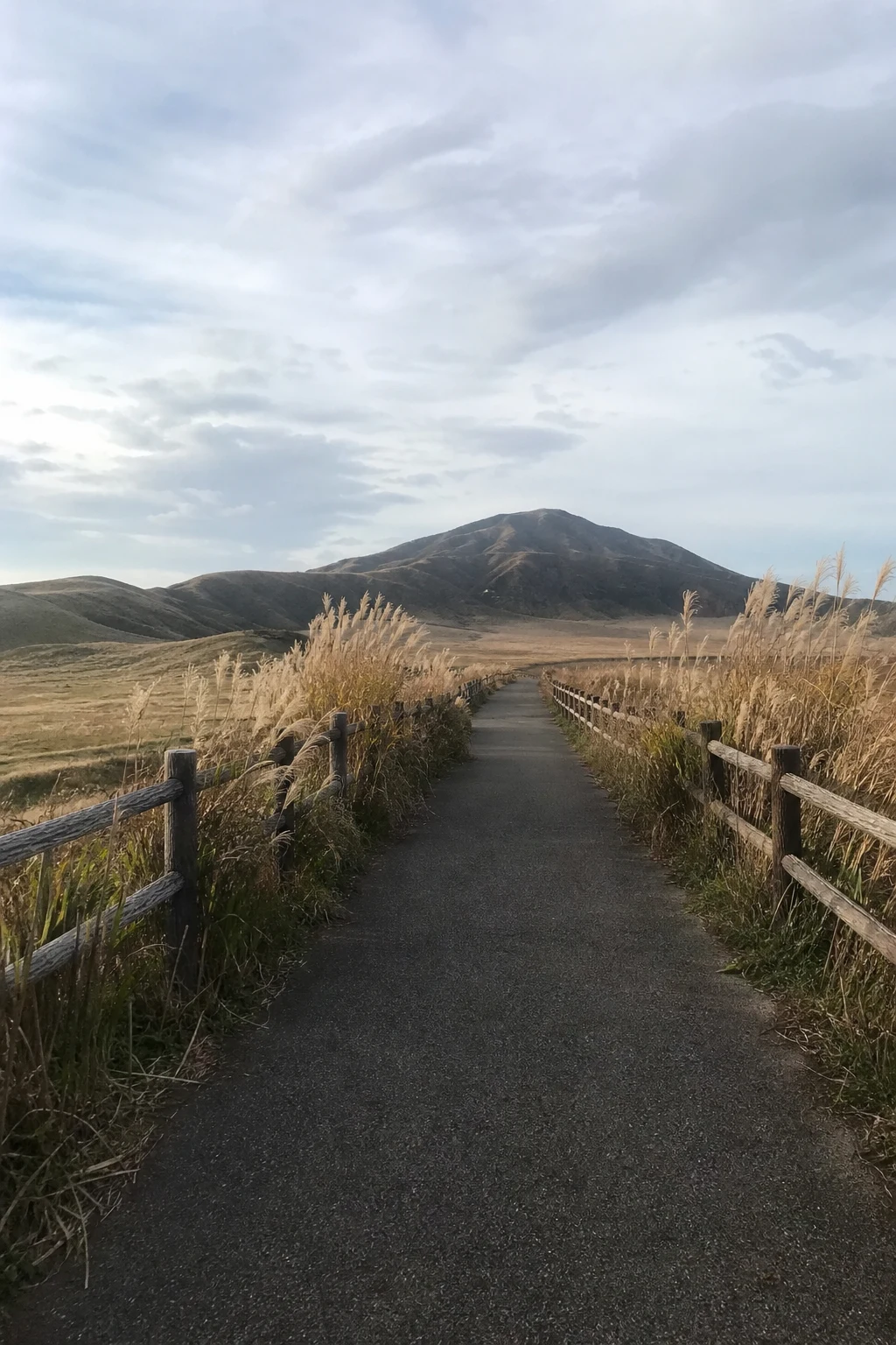 Path through highland grassland