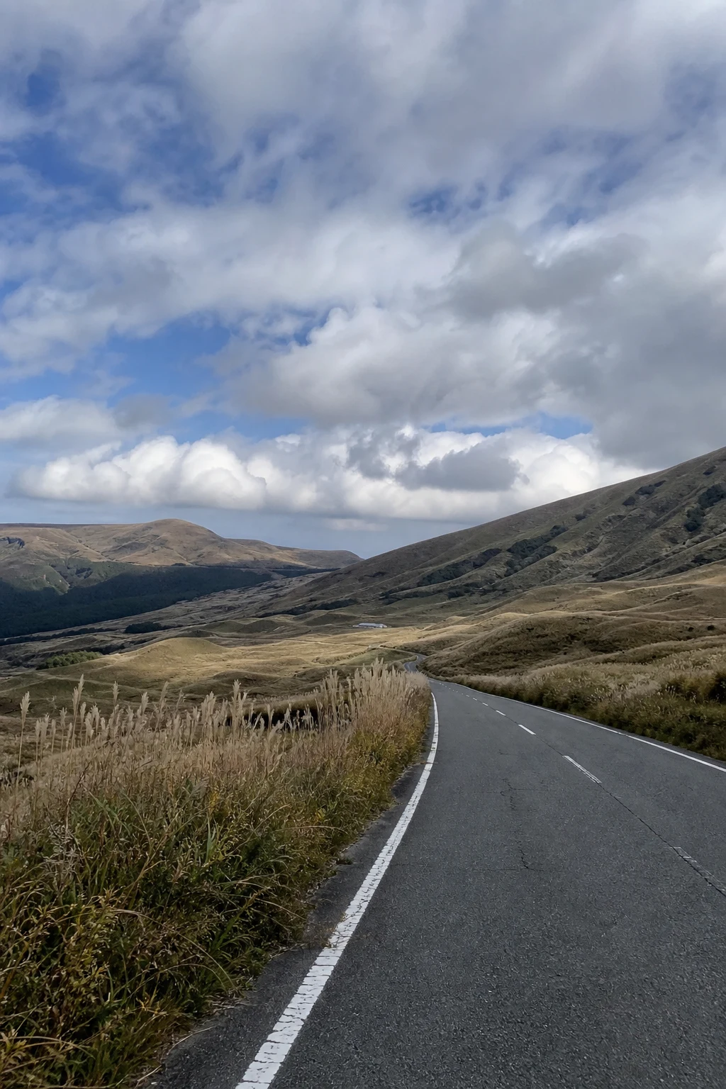 Road through open highland