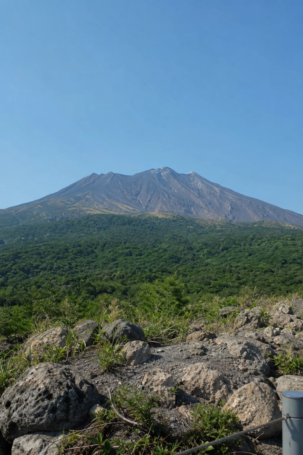 Mountain and forest from a distance