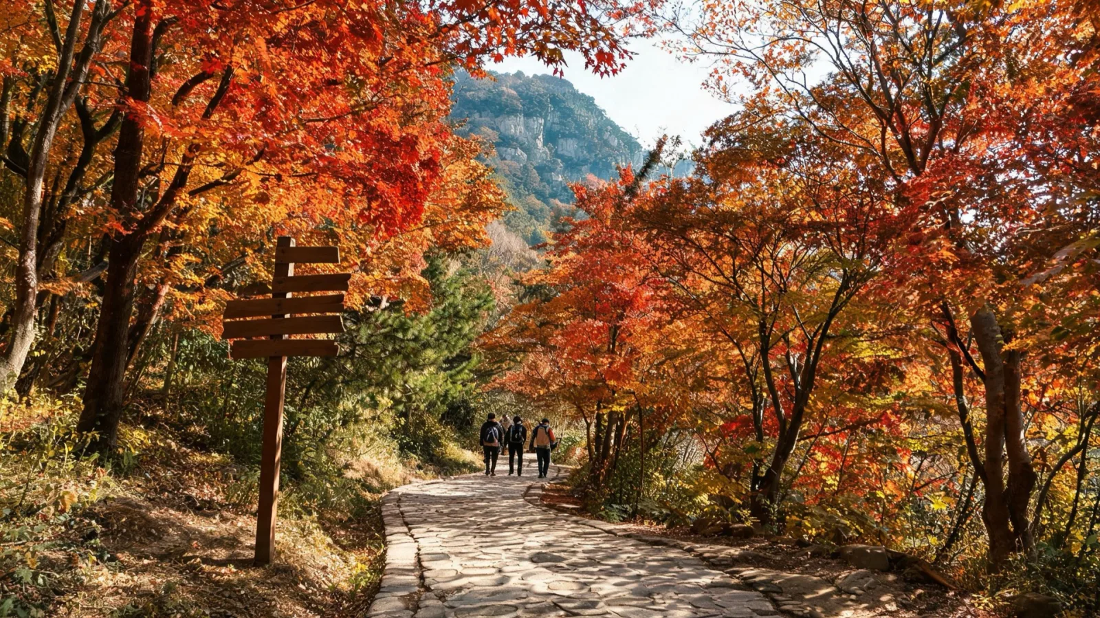 北漢山環山步道秋日楓紅道上行走的人們實景