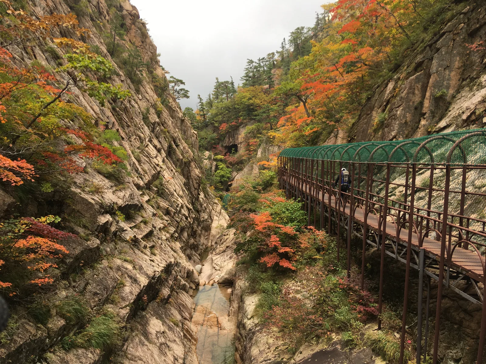 A steel walkway along a rocky gorge in Seoraksan, with maples turning red among green pines