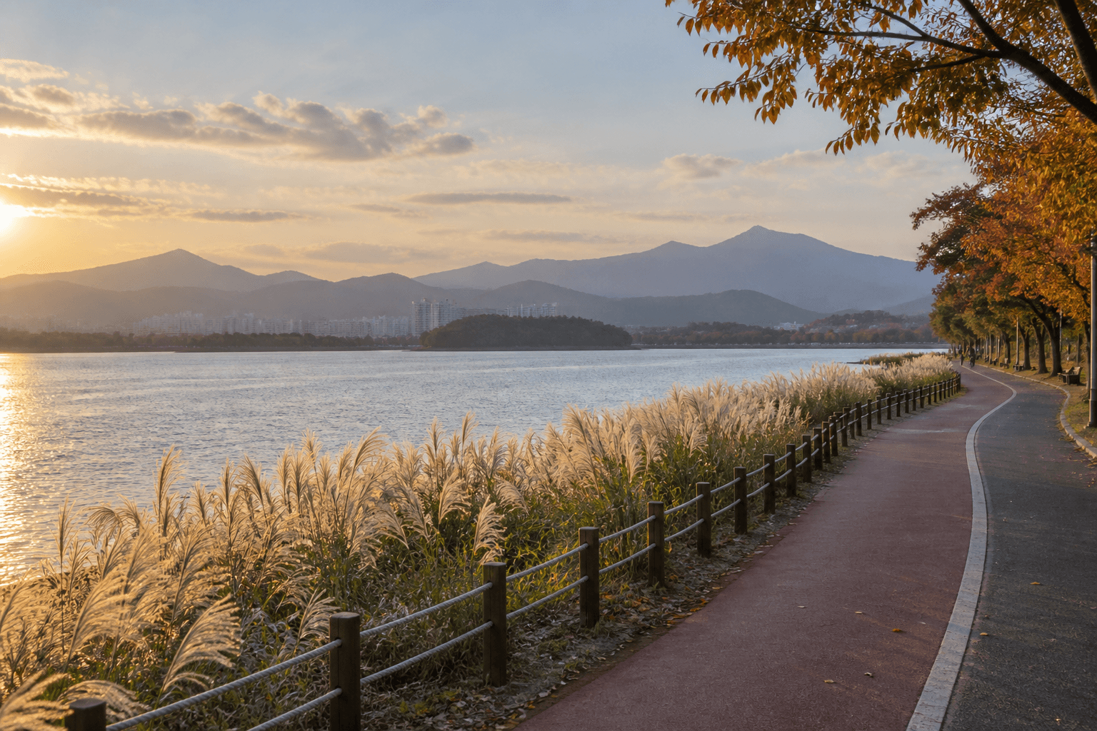 鏡浦湖湖畔步道的秋季場景示例