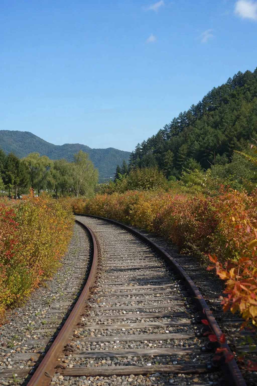 A rail track curving through a wooded valley