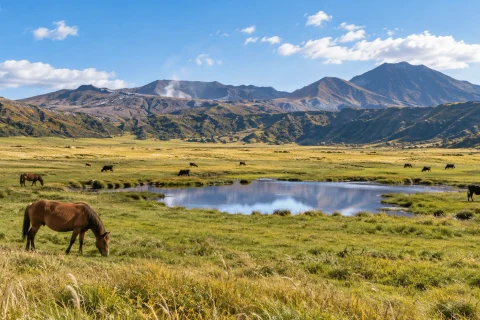 Example image of the Kusasenri grassland