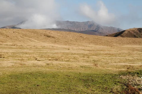 Golden autumn grassland on Mount Aso, with white steam rising from Nakadake behind it