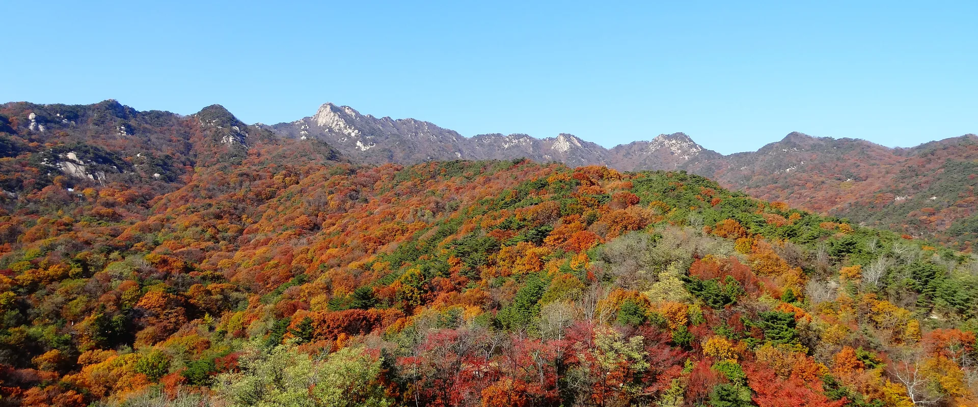 Bukhansan's ridge under a clear sky above southern slopes covered in red, orange and yellow leaves