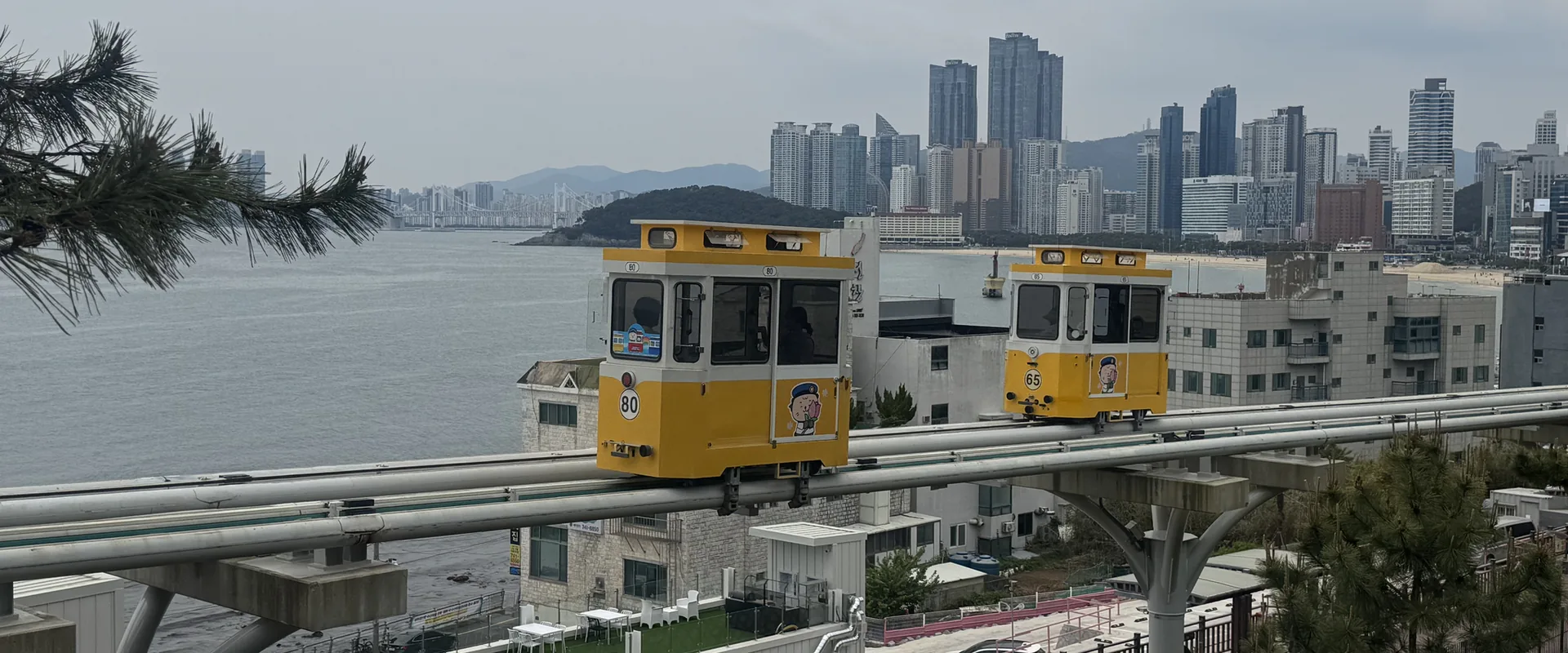 兩台黃色天空膠囊列車行駛在海岸高架軌道上,後方是海雲台的高樓與海灣