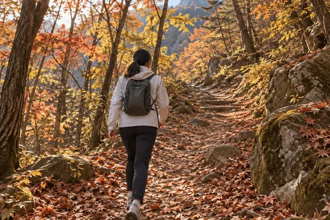 Illustrative walk through an autumn forest