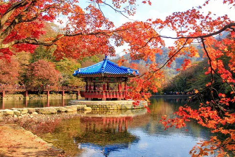 A blue-roofed pavilion on a pond at Naejangsan, framed by red maples
