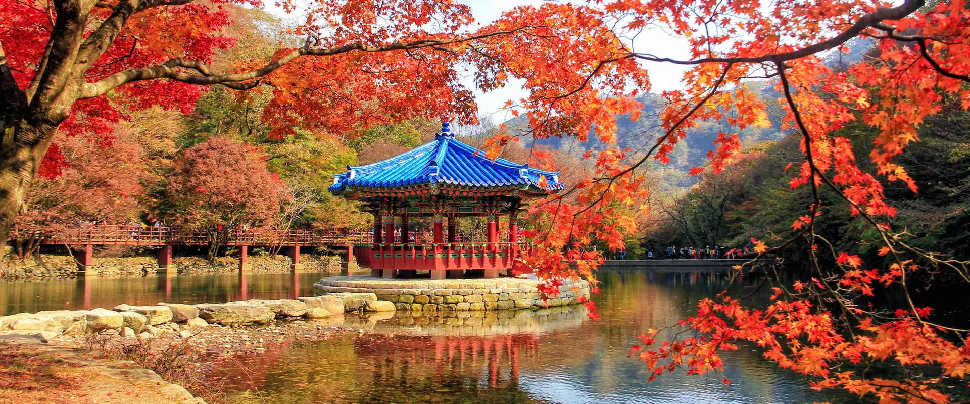 A blue-roofed pavilion on a pond at Naejangsan, framed by red maples
