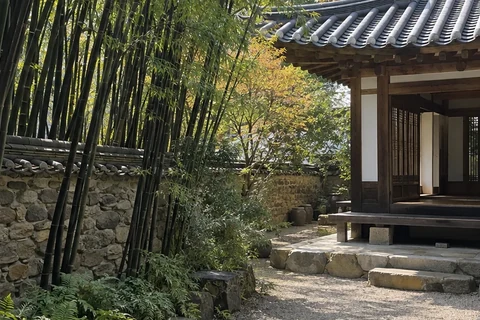 A grove of black bamboo beside a tiled-roof hanok and a gravel courtyard.