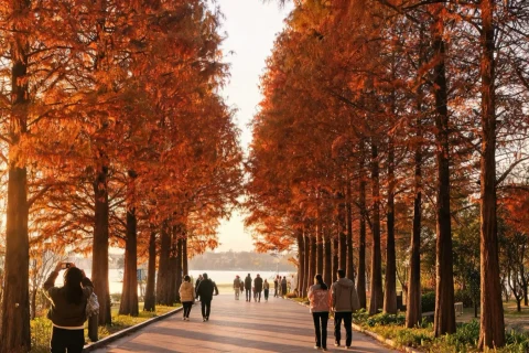 Illustrative autumn lakeside path at Gwanggyo Lake Park