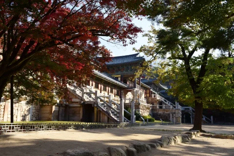 Red maple branches over Bulguksa's stone terraces and stairs on an autumn morning