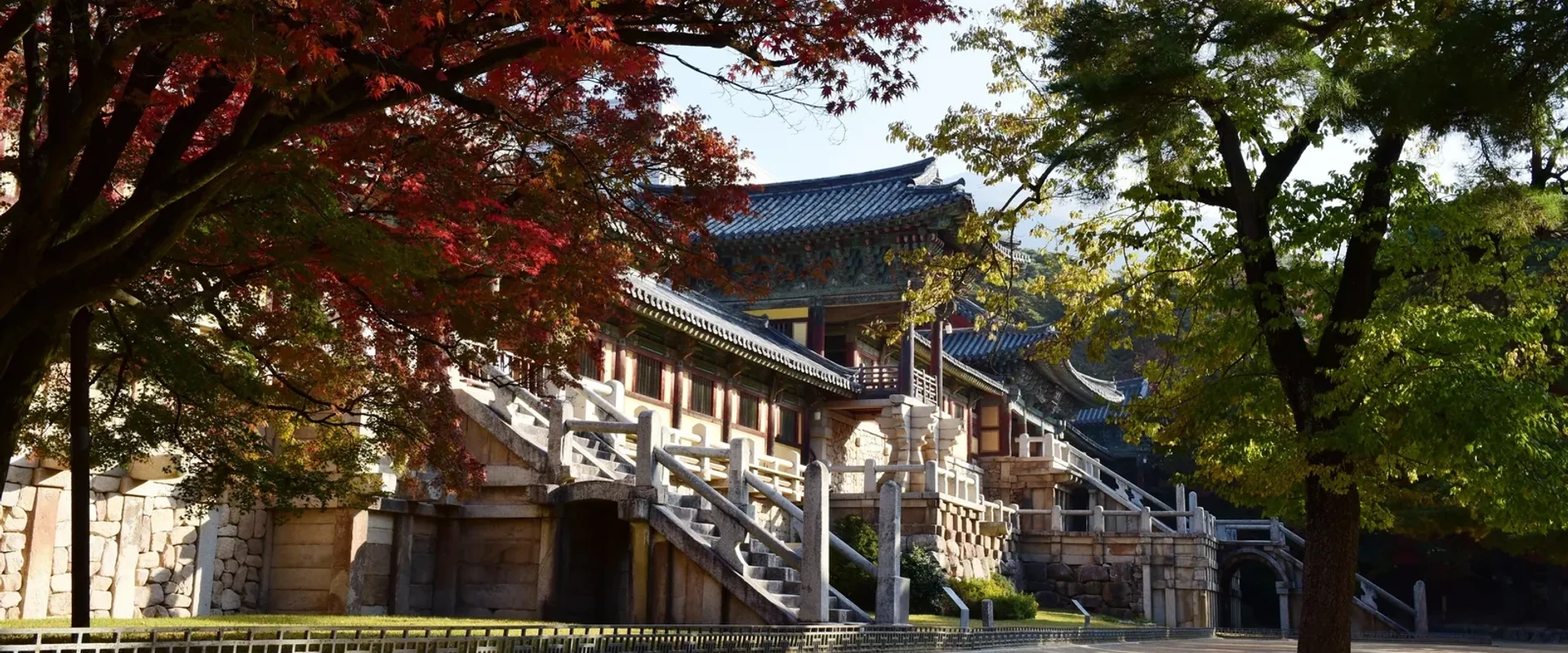 Red maple branches over Bulguksa's stone terraces and stairs on an autumn morning