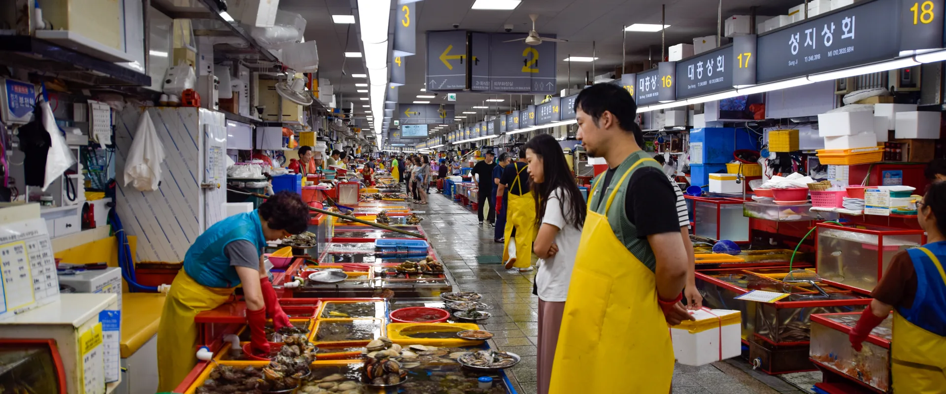Korean autumn food in 2026: what to order in Seoul and Busan | Next ...