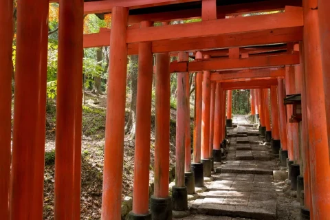 Fushimi Inari torii gates tunnel