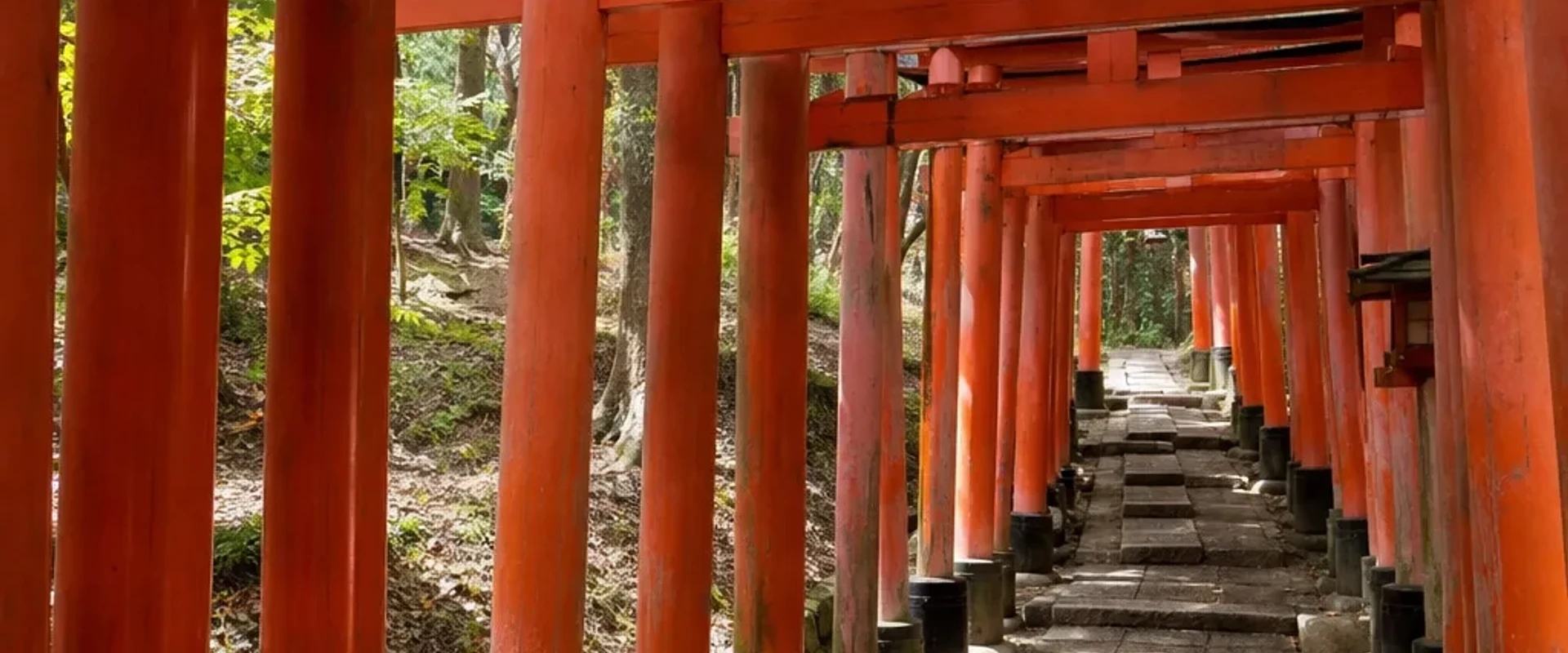 Fushimi Inari torii gates tunnel
