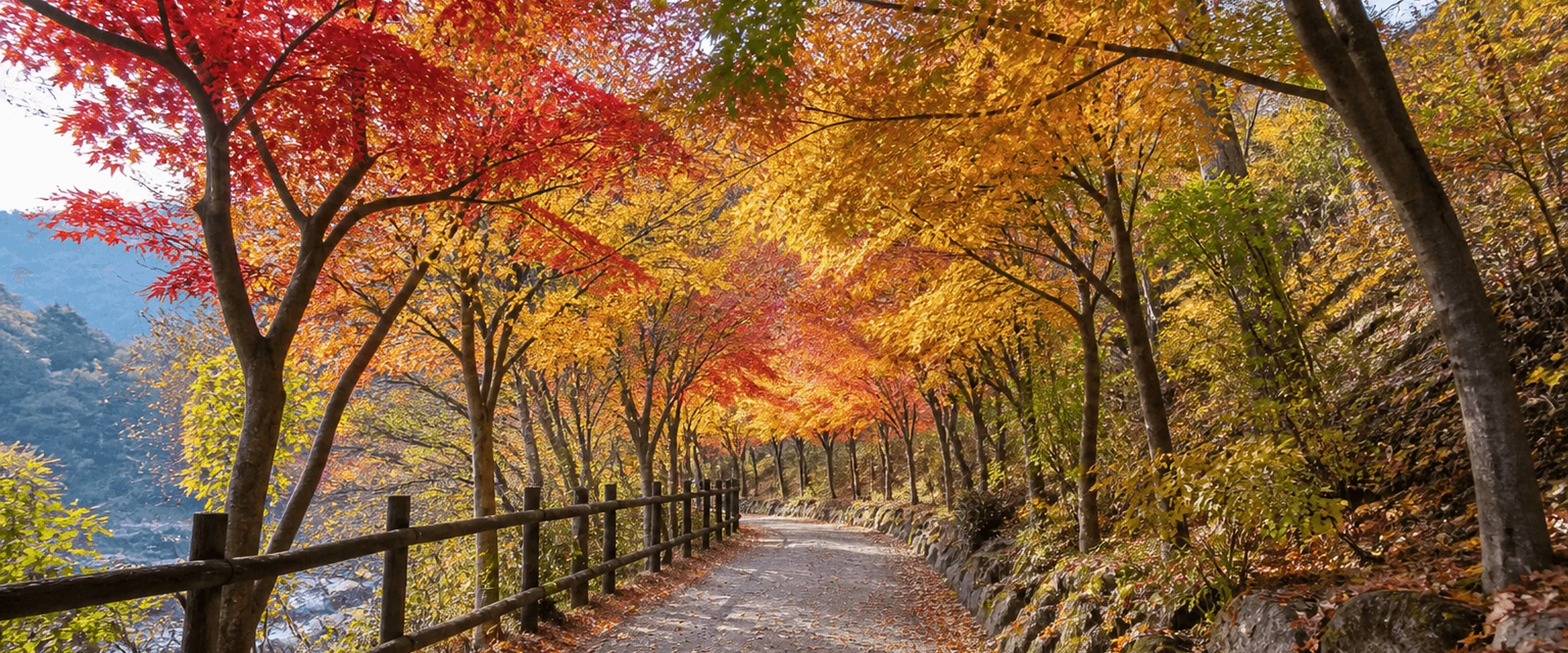 內藏山秋季楓葉步道示意圖