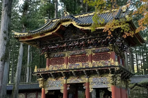 Nikko Toshogu shrine gate with dense carvings among cedars