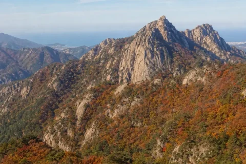 A granite ridge of Seoraksan wrapped in red and orange autumn foliage