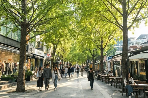 Illustrative tree-lined shopping street in Garosu-gil