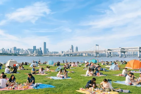 People sitting on mats across a riverside lawn