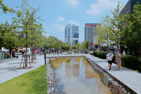 A shallow water channel and tree-lined promenade in Yeontral Park on a sunny day