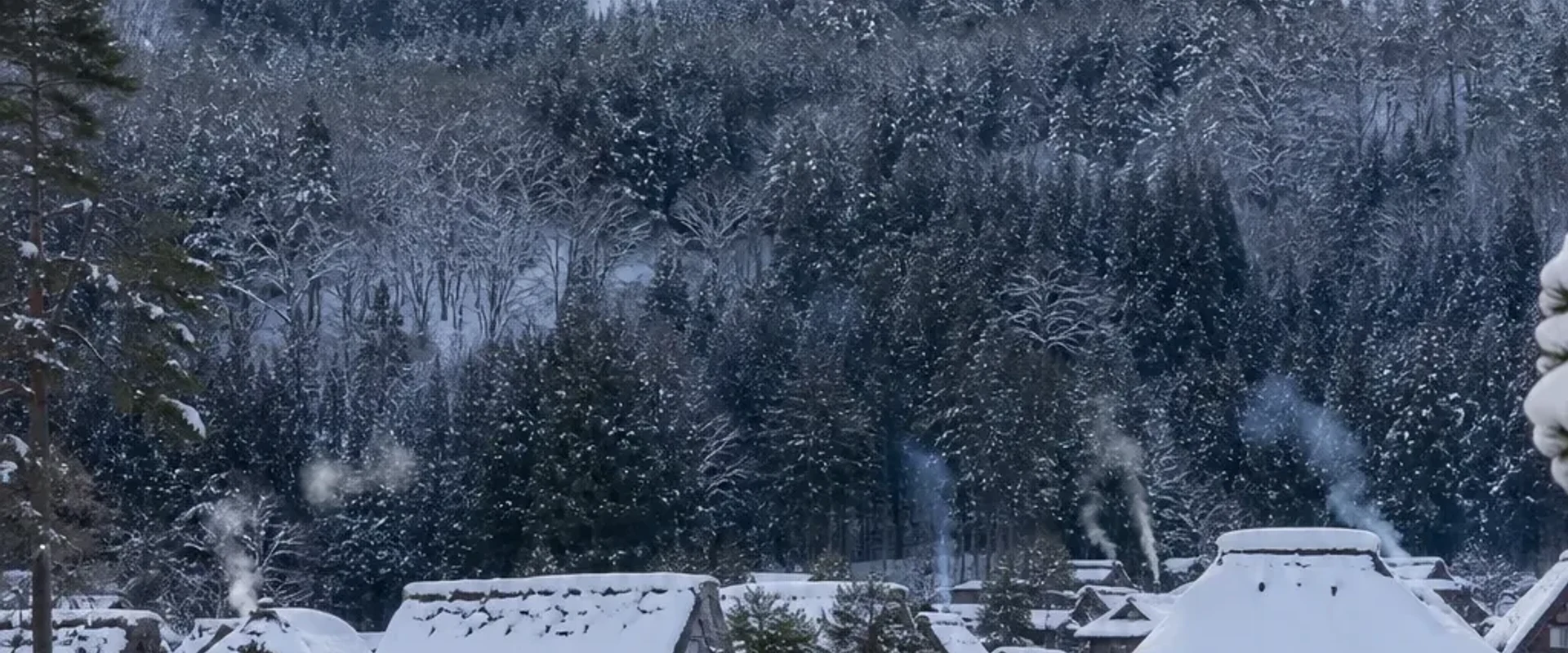 白雪覆蓋的白川鄉合掌造聚落，世界遺產・入村免費
