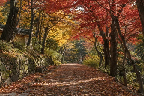 Example scene of an autumn foliage path inside the Tongdosa compound