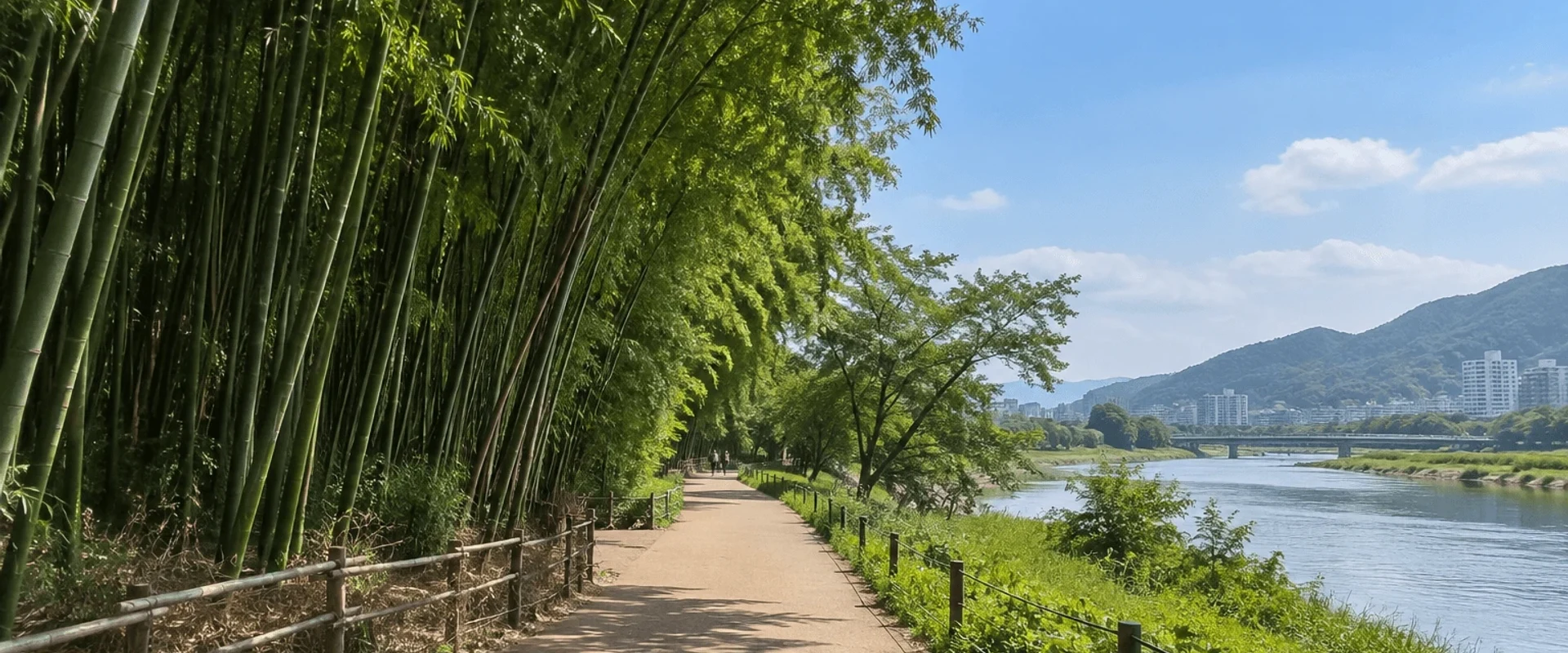 Example photo-style view of the Taehwagang riverside bamboo path