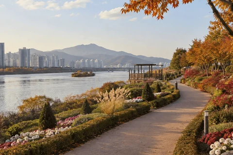 Example scene of a riverside walking trail and themed gardens at Taehwagang National Garden