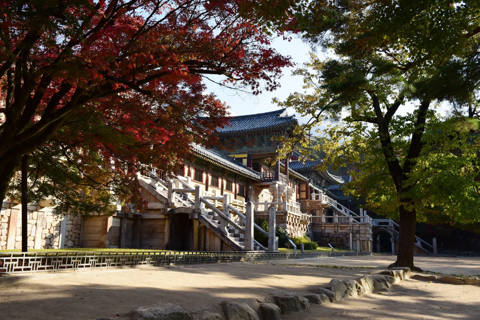 Red maple branches over Bulguksa's long stone terraces and stairways on a sunny autumn morning