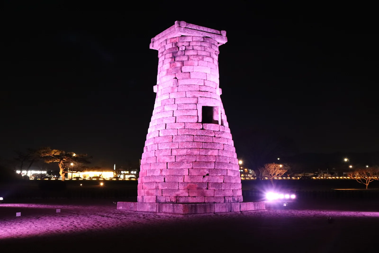 Cheomseongdae lit in violet above a dark lawn