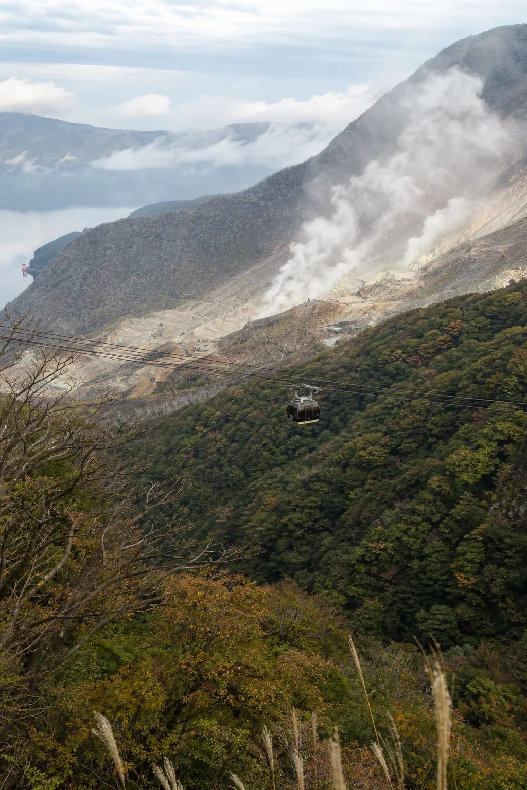 Hakone Ropeway gondola crossing a forested valley