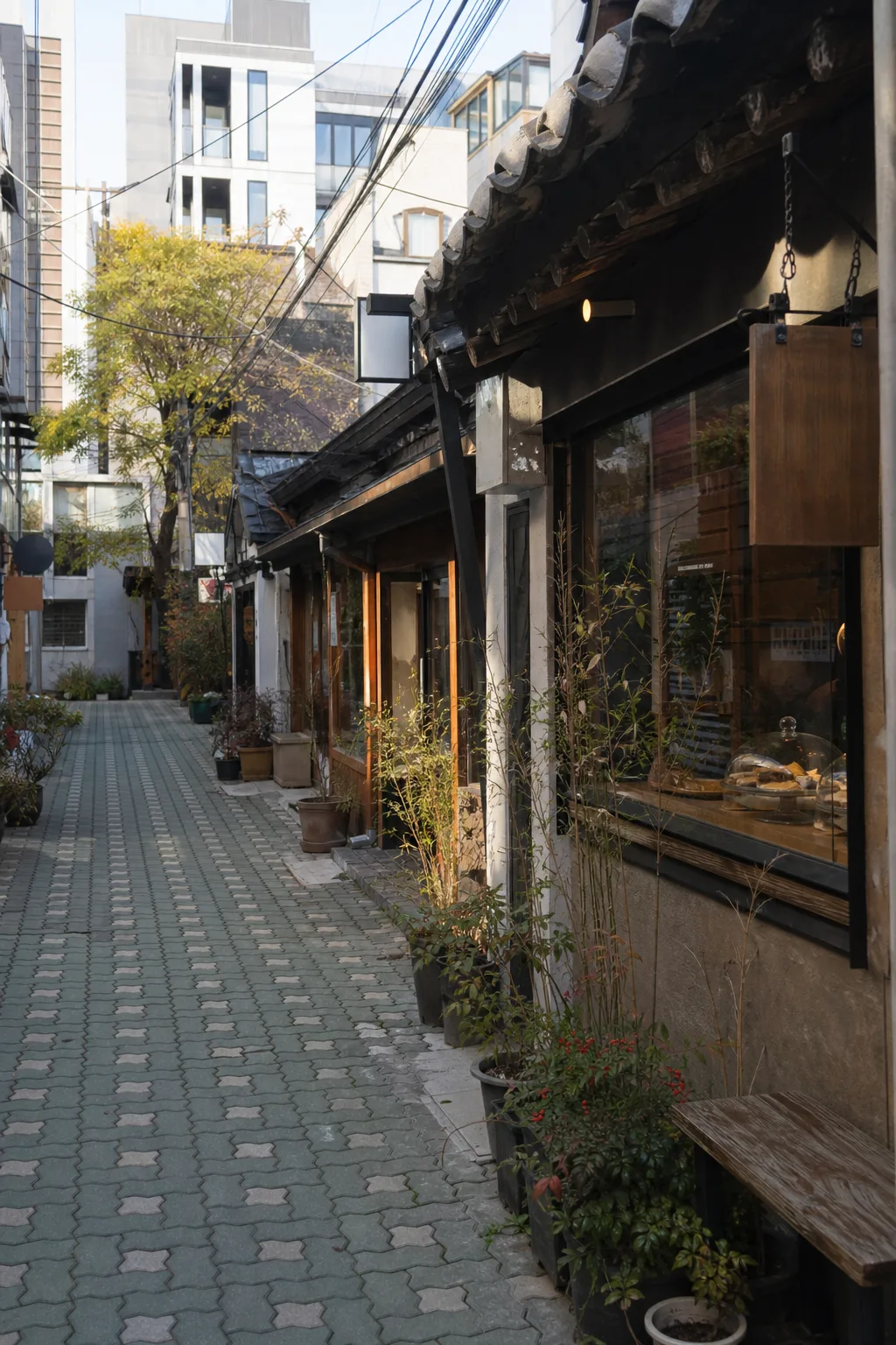 有小店鋪的城市巷道