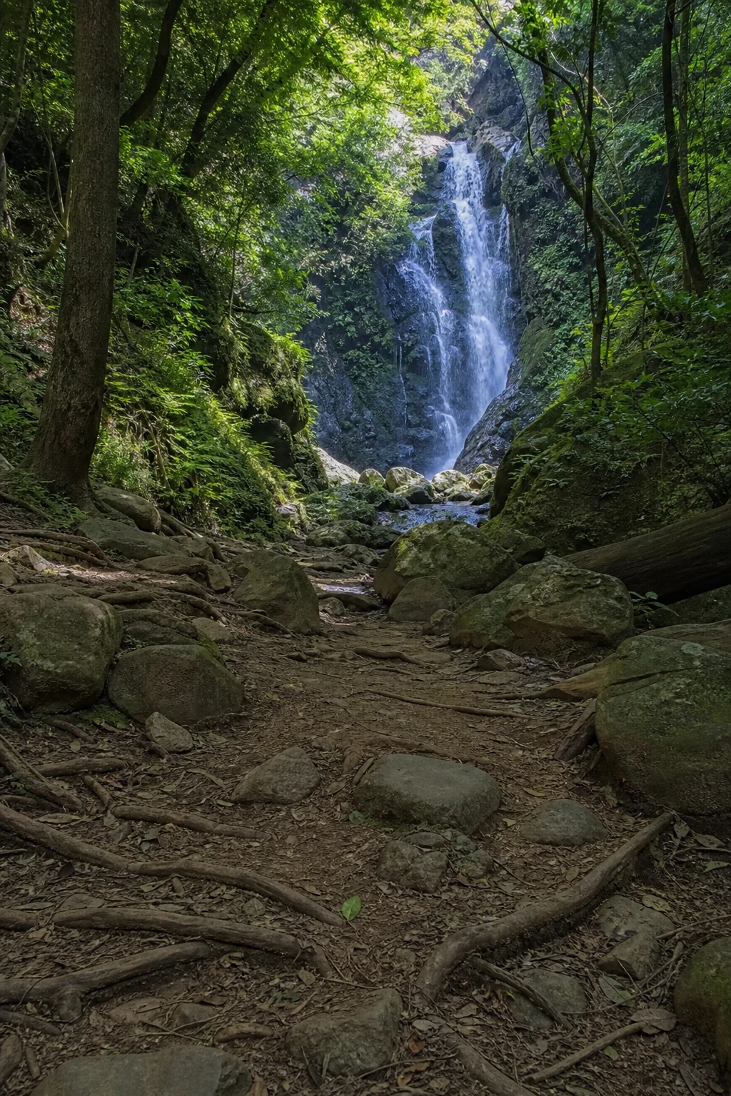 Woodland waterfall trail, illustrative scene