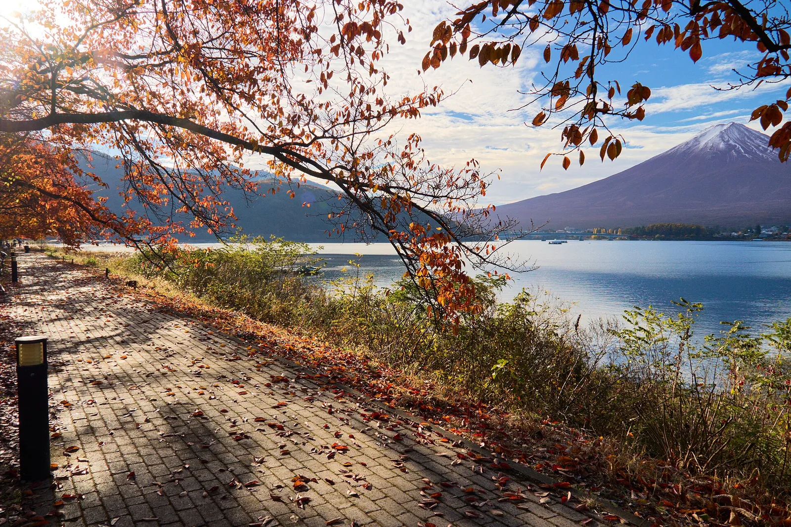 Autumn-colored branches over a lakeside path at Lake Kawaguchi, with Mount Fuji across the water