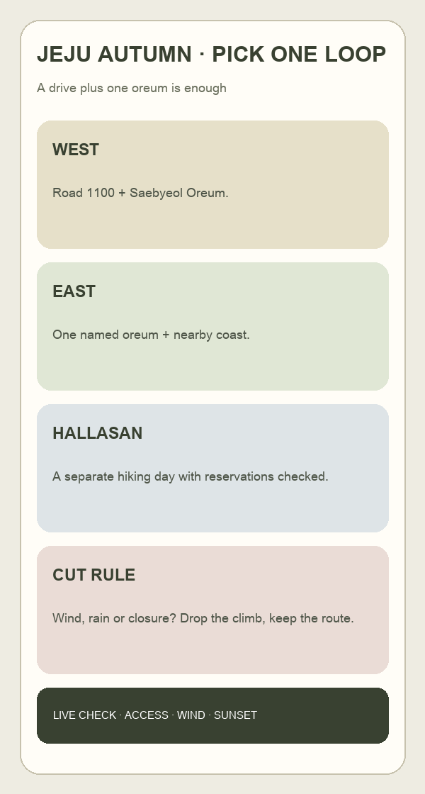 Jeju autumn loop decision card