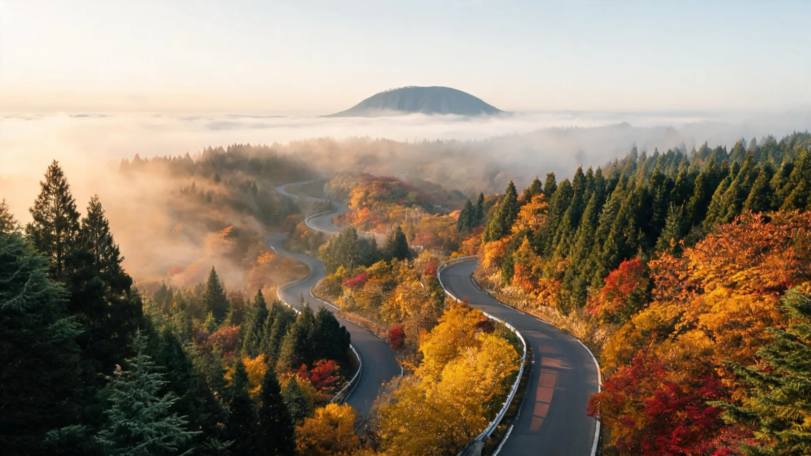 A fall foliage forest path along the 1100 Road at the foot of Hallasan