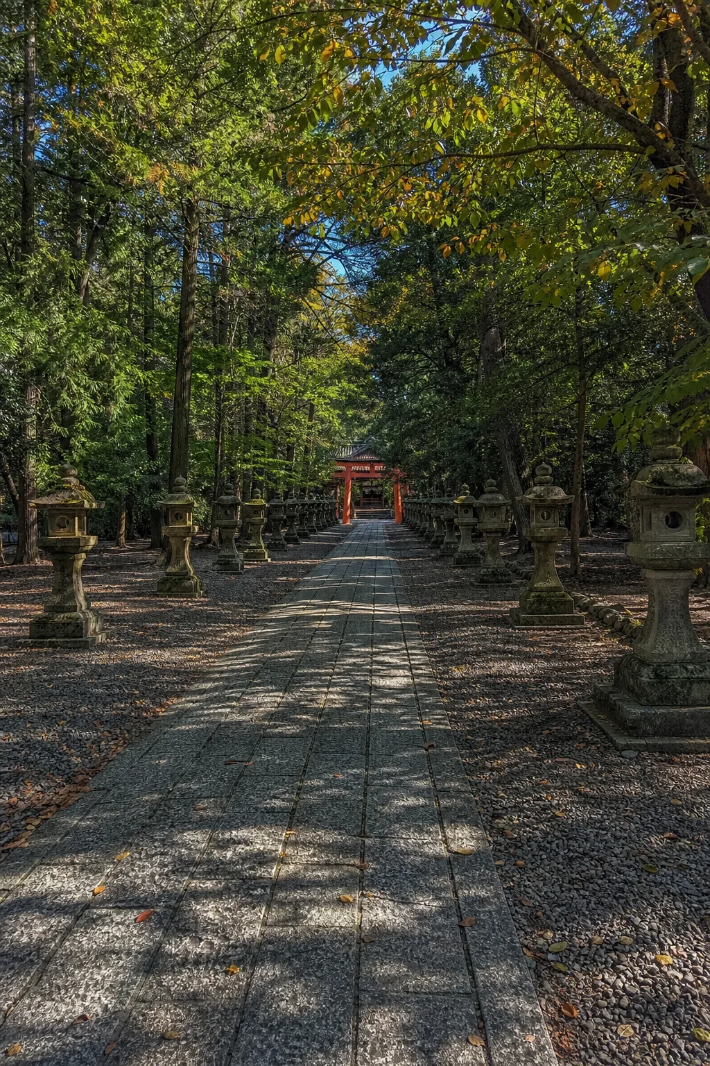 鶴岡八幡宮參道