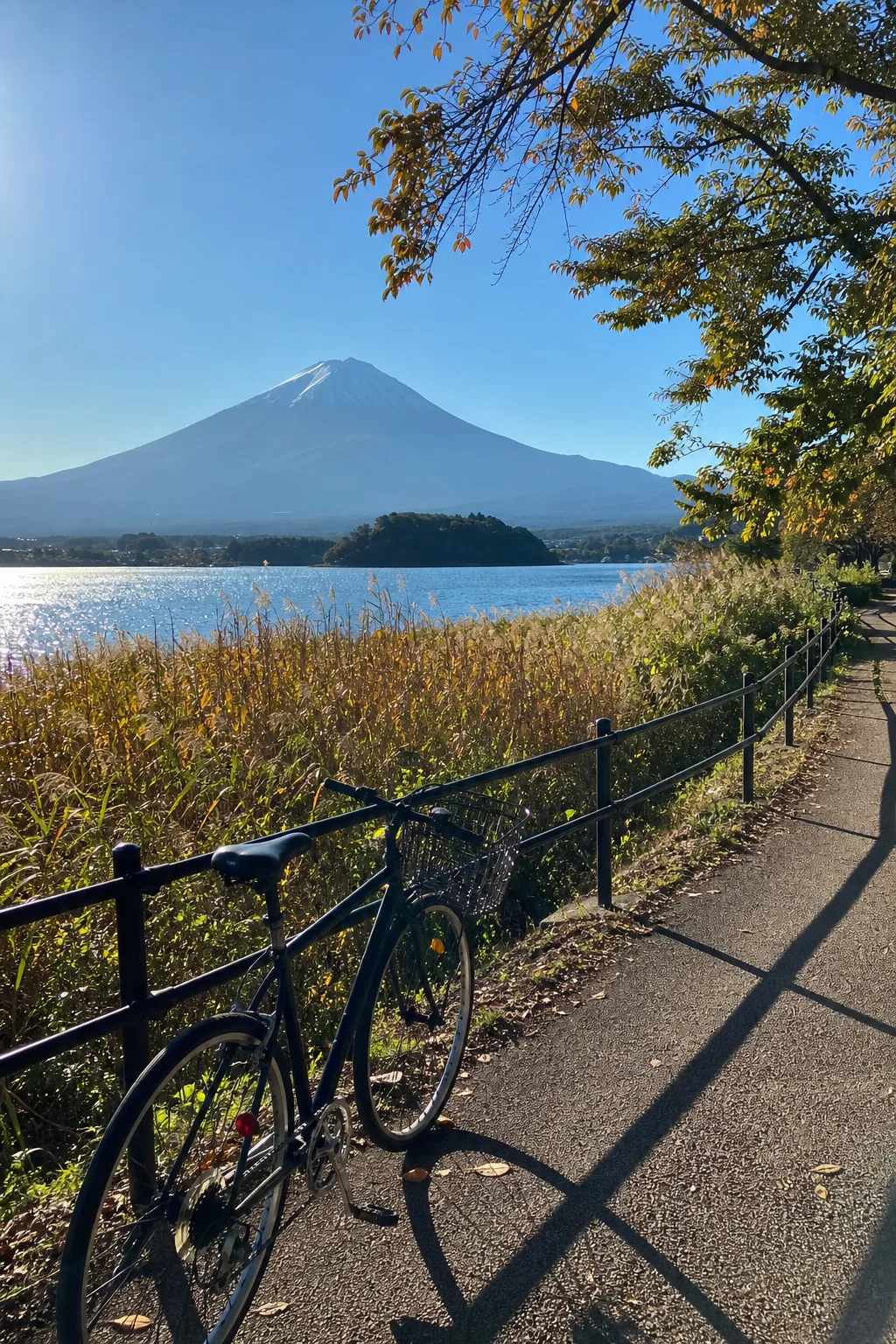 河口湖湖畔的自行車與遠方富士山