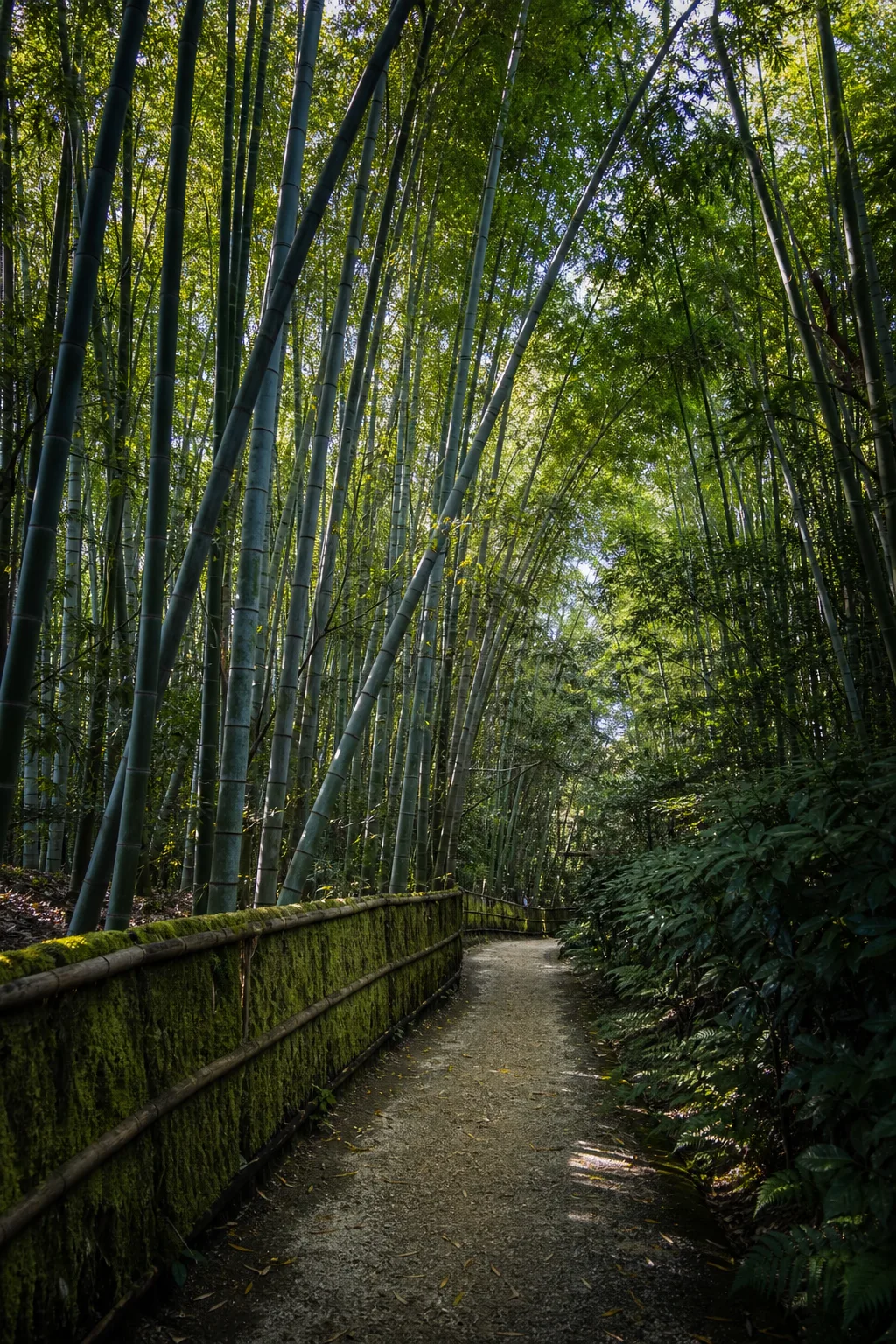 Illustrative view of the Arashiyama bamboo grove; the official city guide warns that this zone is consistently crowded