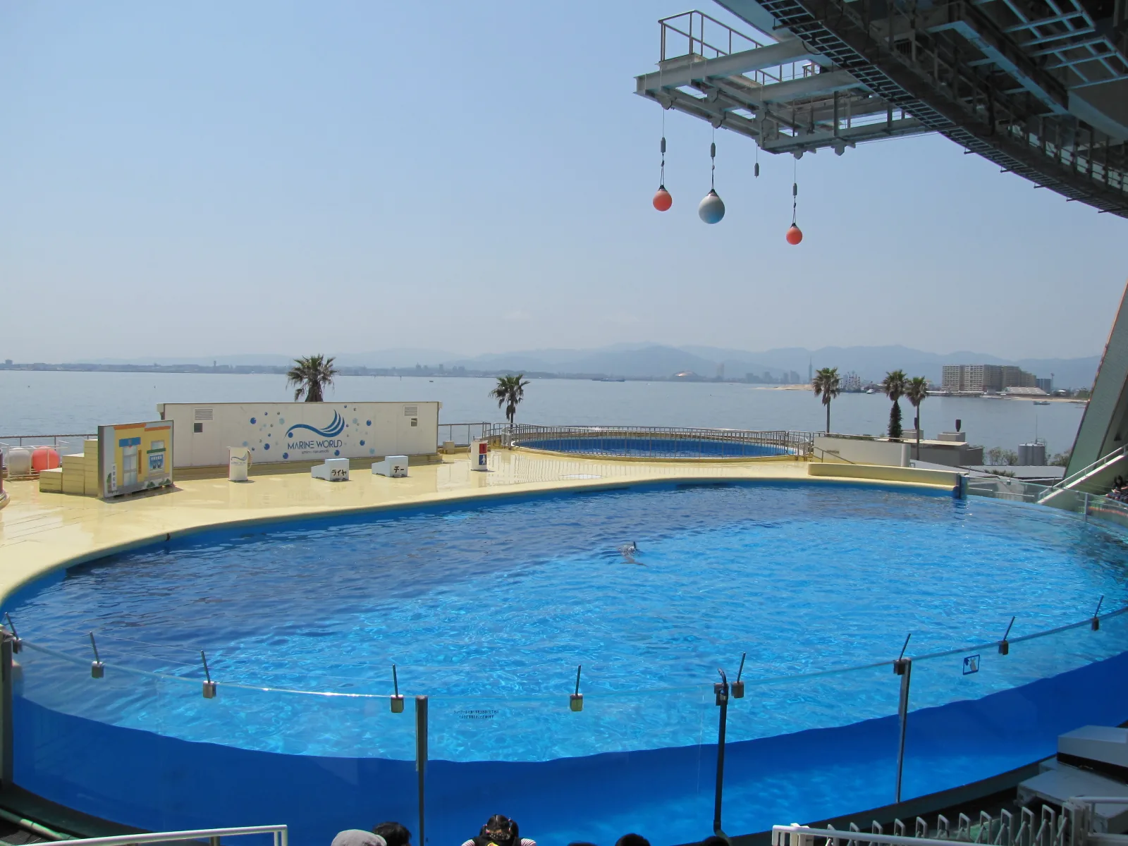Marine World's oval show pool with the sea behind it and a steel structure overhead
