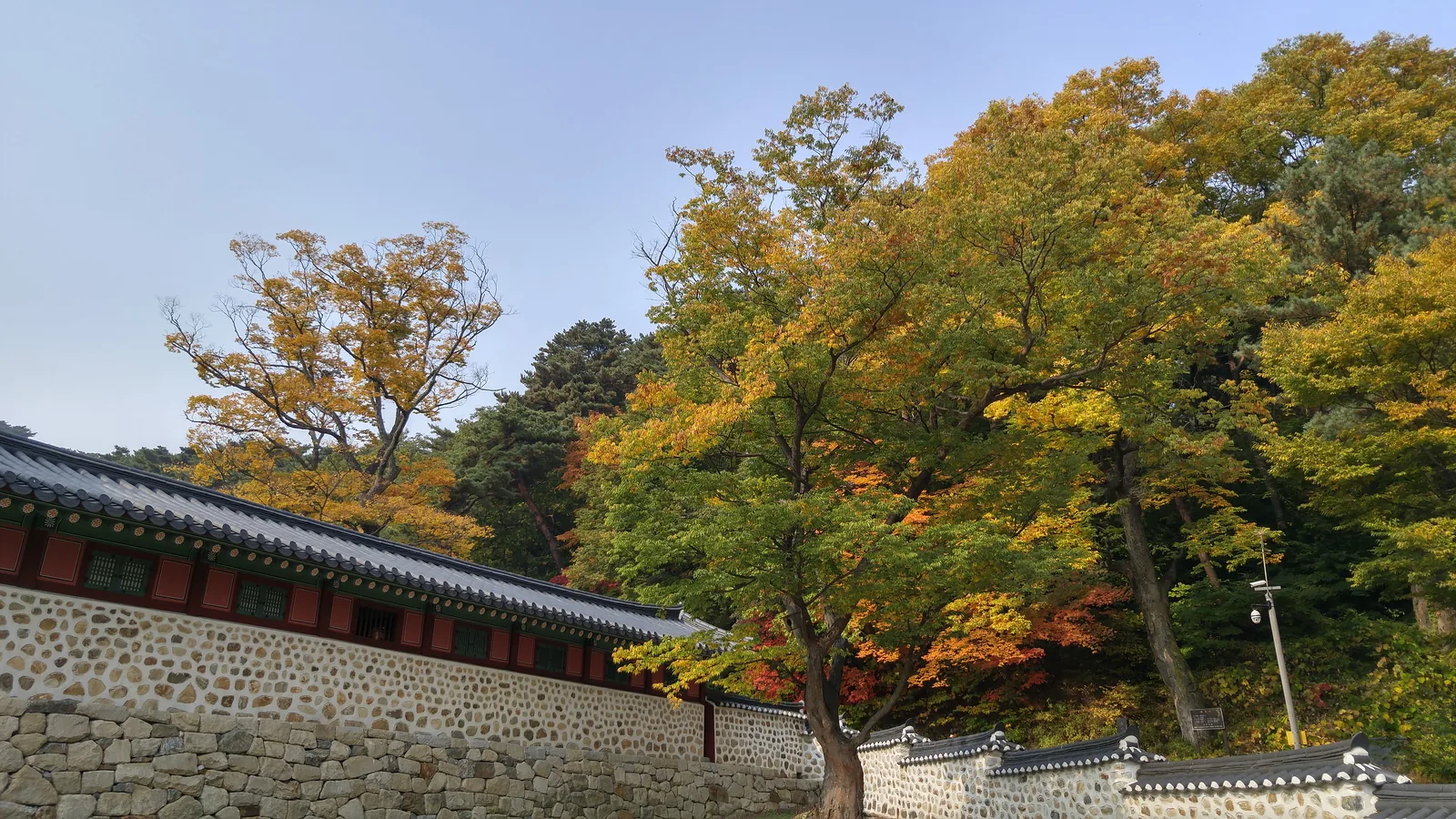 Yellow and red autumn trees rising above the stone wall and tiled roof of the Haenggung