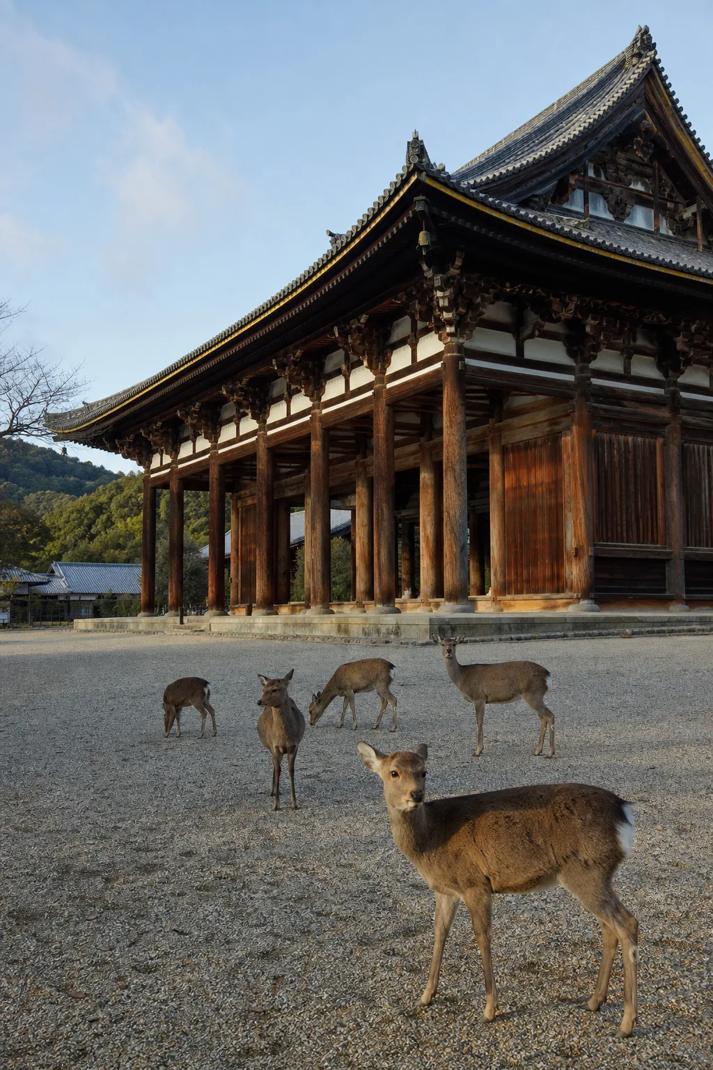 東大寺大佛殿