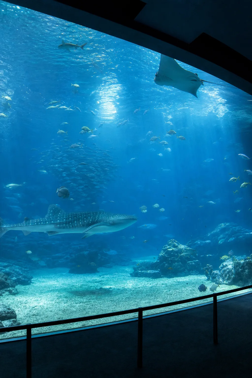 沖繩美麗海水族館大型水槽示意圖