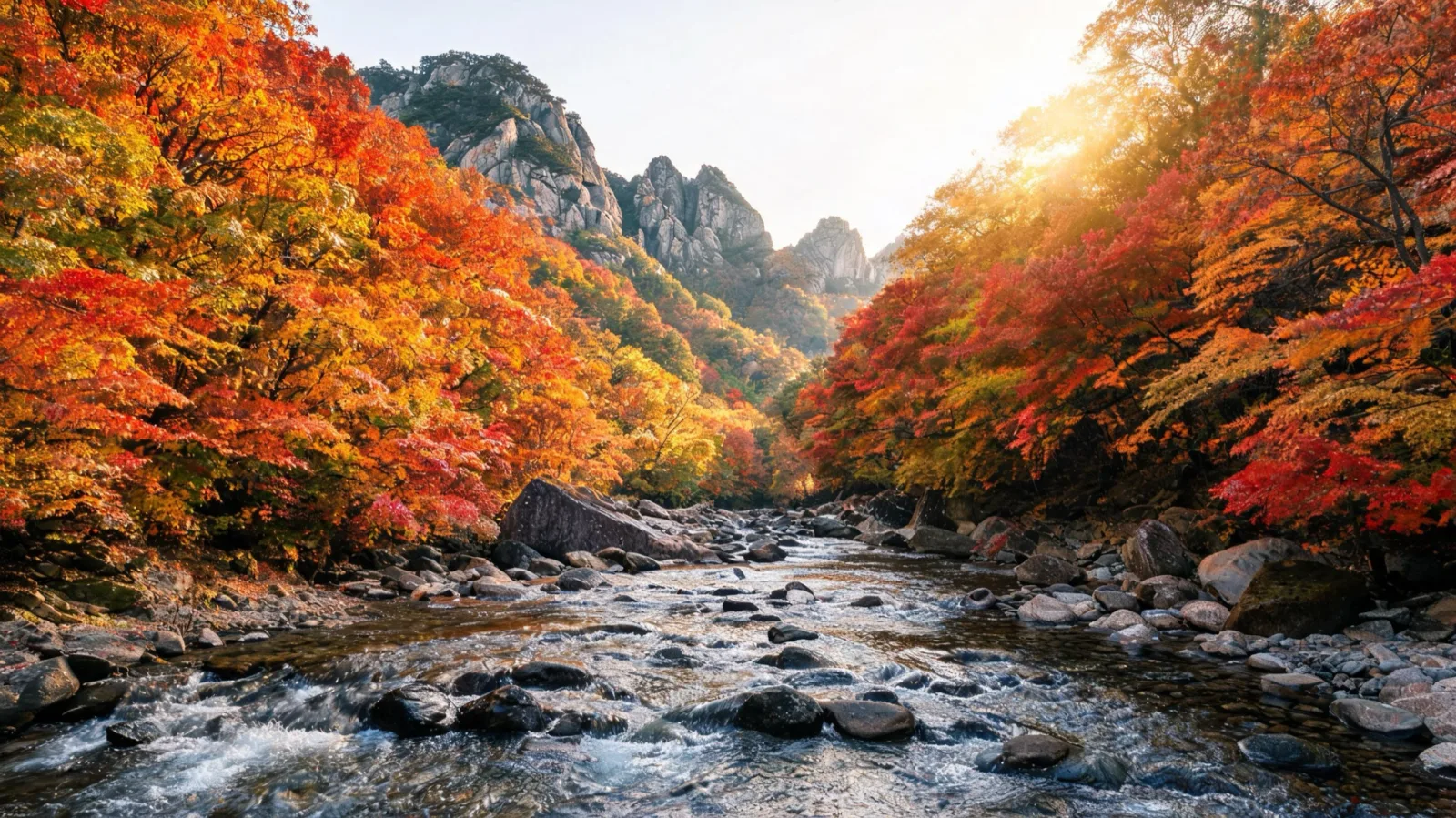 A valley scene at peak autumn foliage on Seoraksan