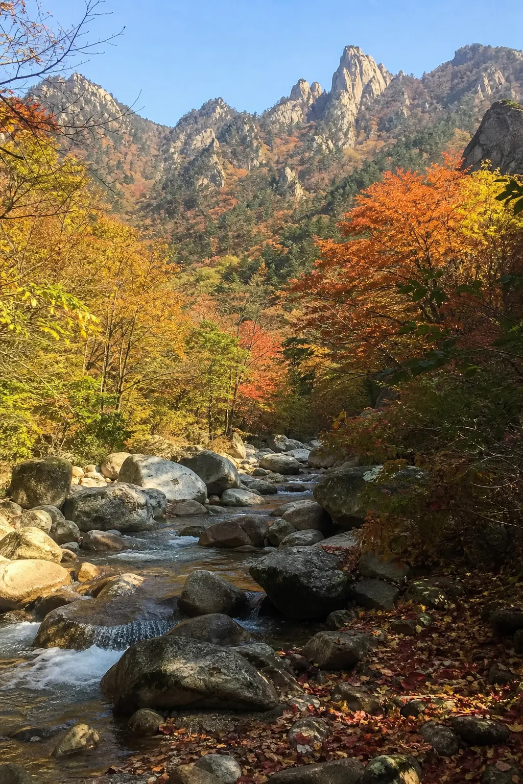 秋季溪谷與林木氛圍