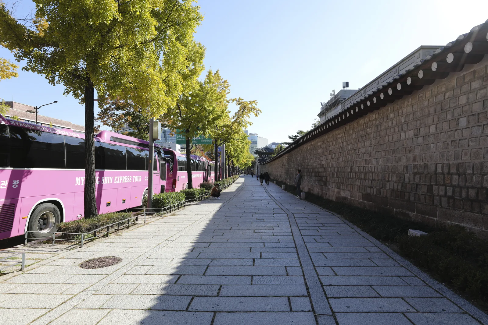 A wide stone-paved sidewalk beside a long palace stone wall, with a row of ginkgo trees starting to turn yellow and tour buses parked along the road